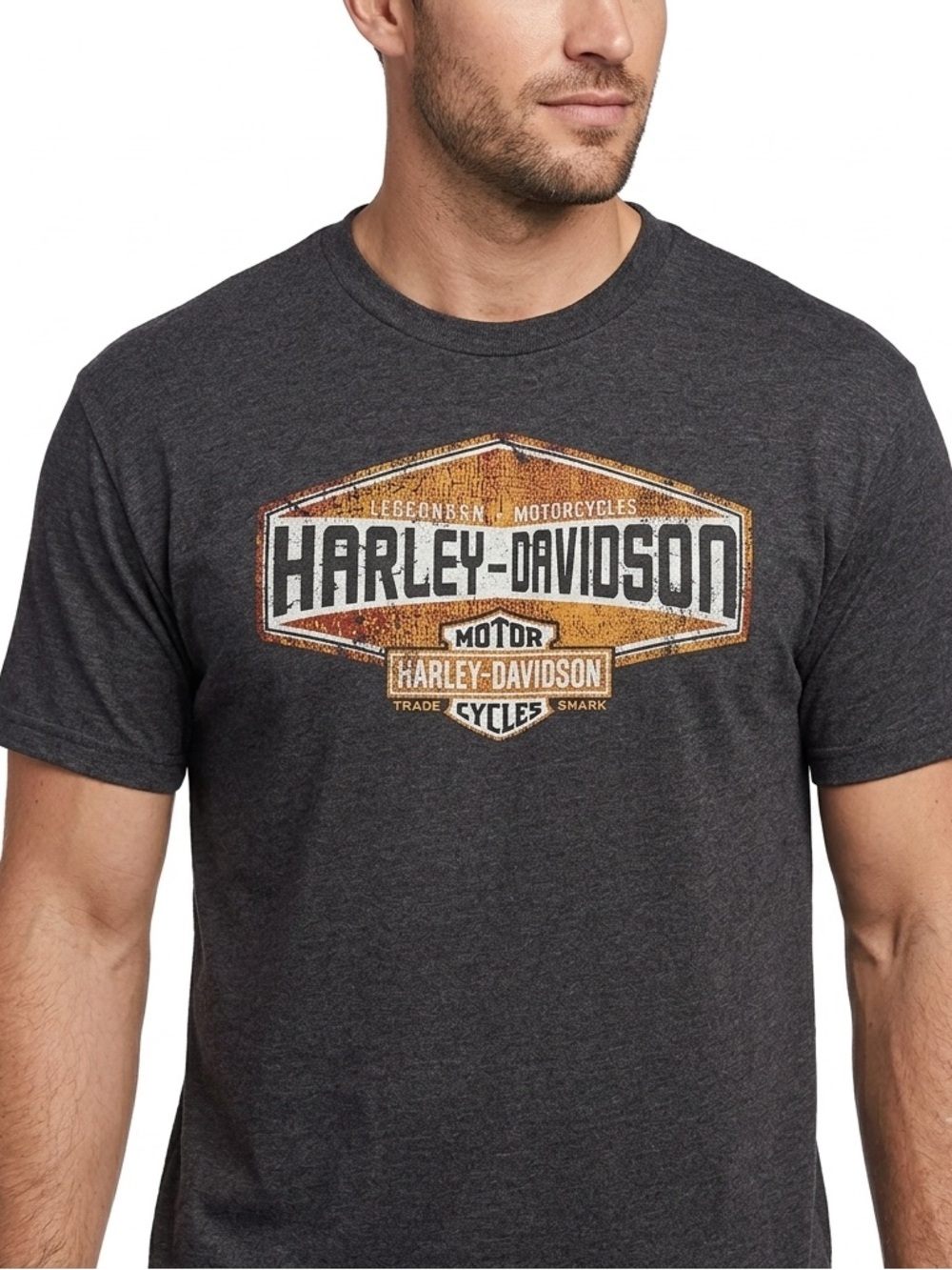 Harley-Davidson T Shirt Men 3XL Charcoal Gray Berlin Germany Bear Graphic Dealer